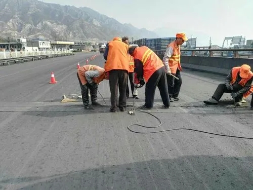 奉贤道路桥梁病害治理